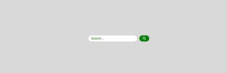 Zone de saisie de recherche à côté d'un bouton vert avec une icône en forme de loupe
