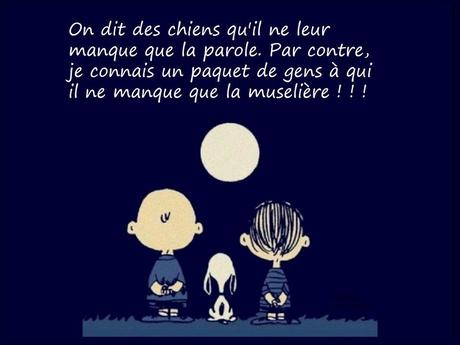 Divers - c'est joliment dit  - 1