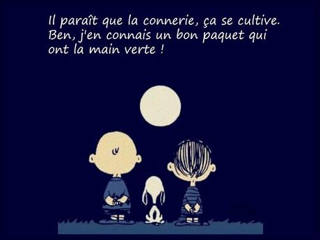 Divers - c'est joliment dit  - 1