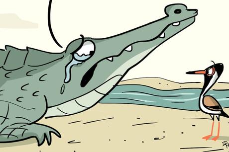 Faux Culs & Vrai Crocodile Faux Culs & Vrai Crocodile