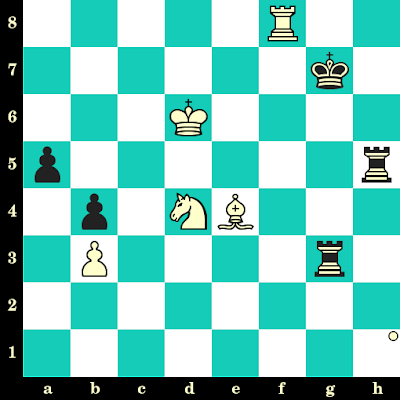 11ème partie du Championnat du monde d'échecs