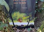 nuit dans bois ❤❤❤❤