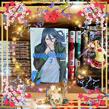 Wind Breaker T03 de Satoru Nii