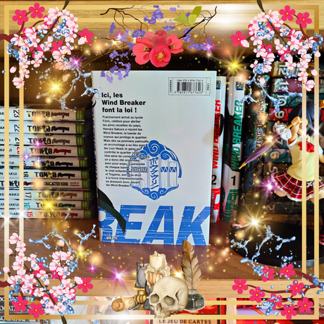 Wind Breaker T03 de Satoru Nii