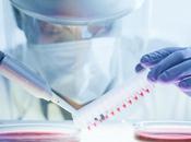 CANCER BRCA2, gène double tranchant