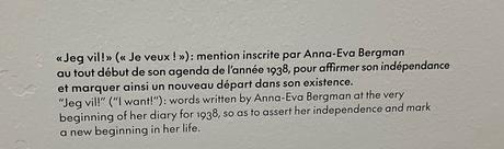 Musée d’Art Moderne – MAM- exposition  Anna-Eva Bergman »Voyage vers l’intérieur »  jusqu’au 16 Juillet 2023.