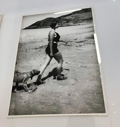 Musée d’Art Moderne – MAM- exposition  Anna-Eva Bergman »Voyage vers l’intérieur »  jusqu’au 16 Juillet 2023.