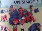 L'homme est-il singe