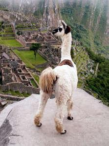 Petit guide du Machu Picchu: l’histoire