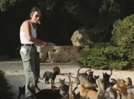 Hommage à Jacques Dutronc (et à ses chats)