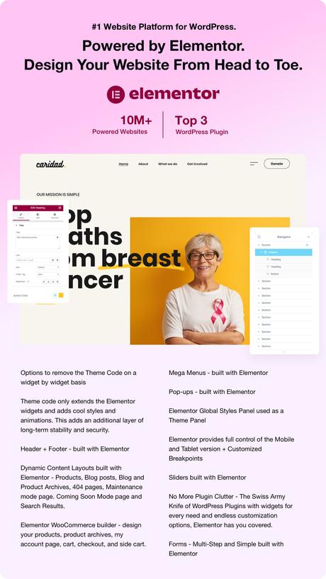 Caridad - Charité WordPress - 1