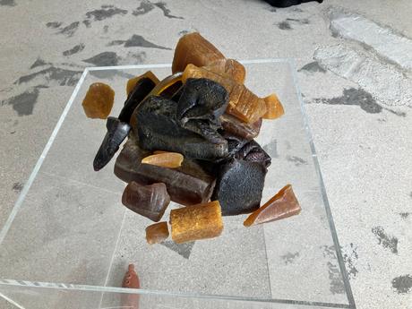 Exposition Aurélie Galois « Le sang du monde » le jeudi 27 Avril 2023.