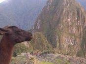 Petit guide Machu Picchu quoi apporter?