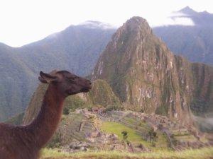 Petit guide du Machu Picchu : quoi apporter?