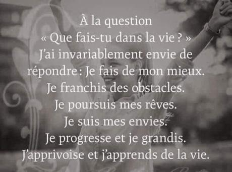 Que fais-tu dans la vie ?