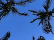 Anima Noémie Goudal Maëlle Poésy