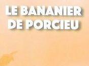 bananier Porcieu, Robin Champs