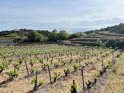 Vacances particulières en Pyrénées Orientales...