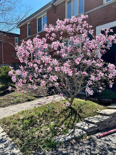 Divers - Beau premier Mai 2023