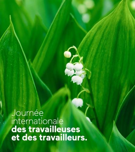 En solidarité avec les travailleuses et les travailleurs ! IMG_3717.jpeg