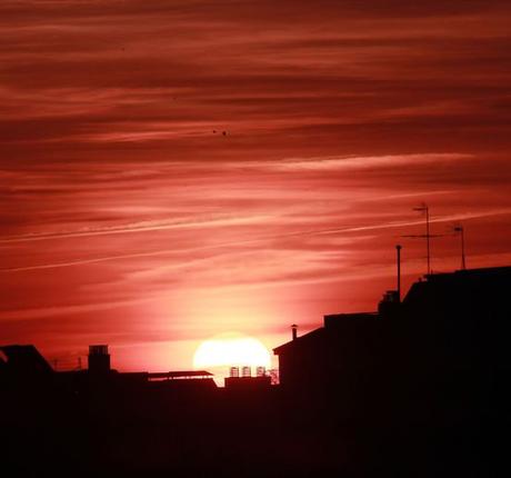 343928257_1406259563545048_5039061073936123414_n