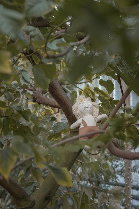 Tallinna Botaanikaaed jardin botanique Estonie serre tropicale