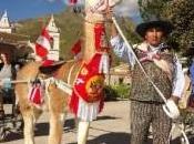 Perou, prends taxi lama!