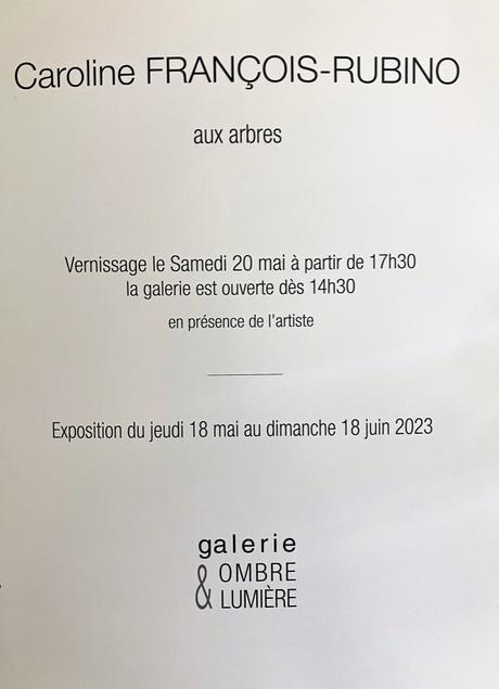 Galerie Ombre & Lumière – à Venterol (Drôme) exposition Caroline François-rubino .  » aux arbres » à partir du 18 Mai 2023.