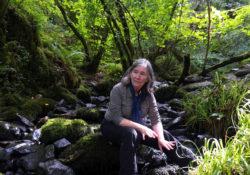 Connaissance des plantes et des arbres : la voix des arbres, Diana Beresford-Kroeger