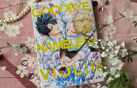 Goodbye, nameless violin