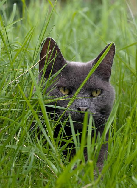 L'Enfant Que Nous Sommes