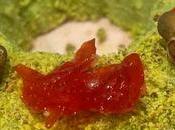 Glace pistache safran