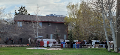 Pourquoi tout ce linge étendu ?