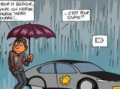 Avis amateurs voitures électriques