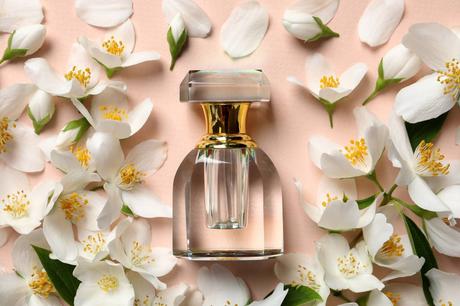 Parfums à base de fleurs : les senteurs à privilégier parfum à base de jasmin