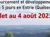 Stages, ateliers émissions radio pour vous