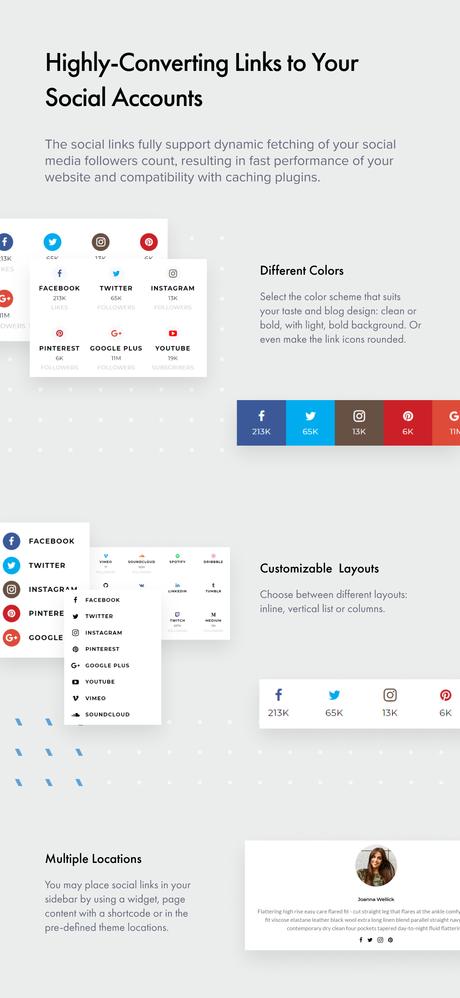 Authentique – Thème WordPress pour blogs et magazines de style de vie Liens sociaux