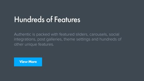 Authentique – Thème WordPress pour blogs et magazines de style de vie Caractéristiques