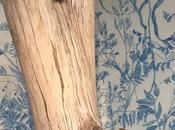 Ceux nous regardent, exposition d'Ali Cherri Centre d'art contemporain Traverse d'Alfortville (94)