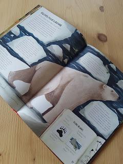 Les ours font-ils caca dans les bois ? Les ours font-ils caca dans les bois ?