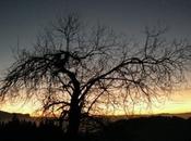 Prends garde douceur