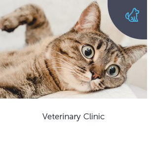 clinique, hôpital, docteur, beauté, santé et médical Thème WordPress