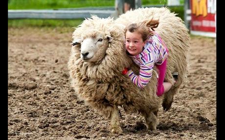 Divers - De toute beauté - 1