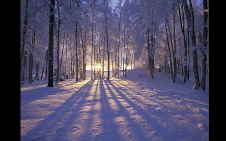Divers - De toute beauté - 1