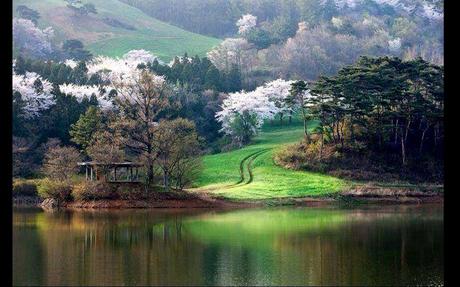 Divers - De toute beauté - 1