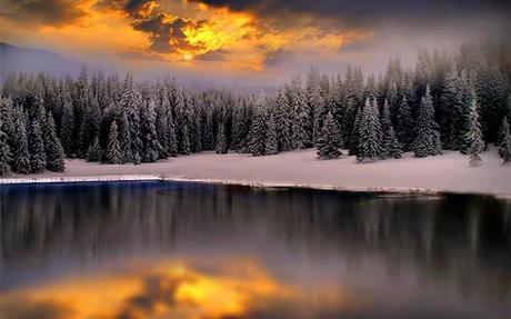 Divers - De toute beauté - 1