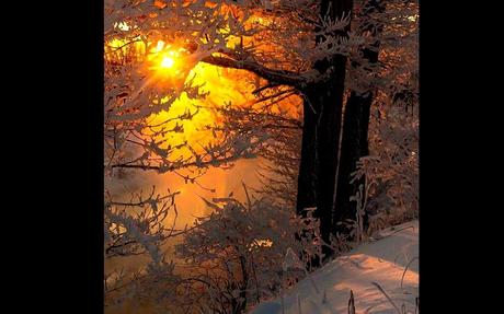 Divers - De toute beauté - 1