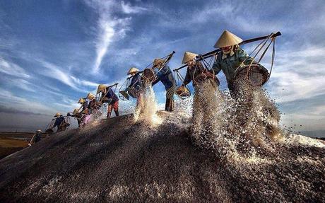 Divers - De toute beauté - 1