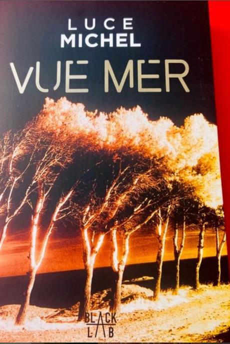 On a aimé Vue mer, le premier polar de Luce Michel vuemer