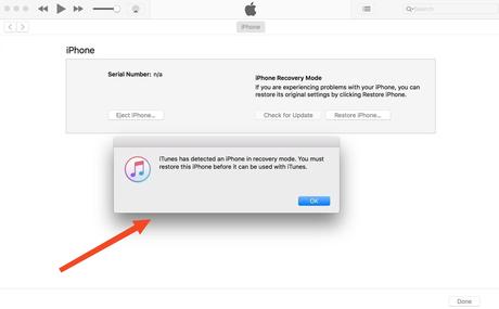 Comment corriger l’erreur « support.apple.com/iphone/restore » sur votre iPhone ?